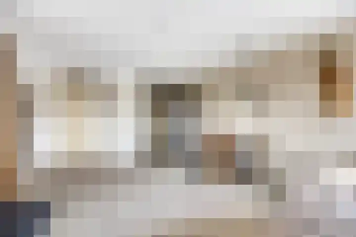 Brandaris 50 Oosterhout thumbnail 6