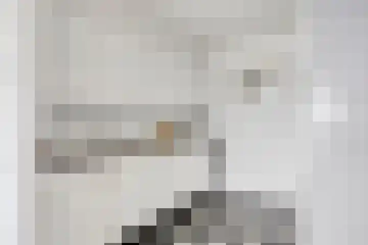 Brandaris 50 Oosterhout thumbnail 9