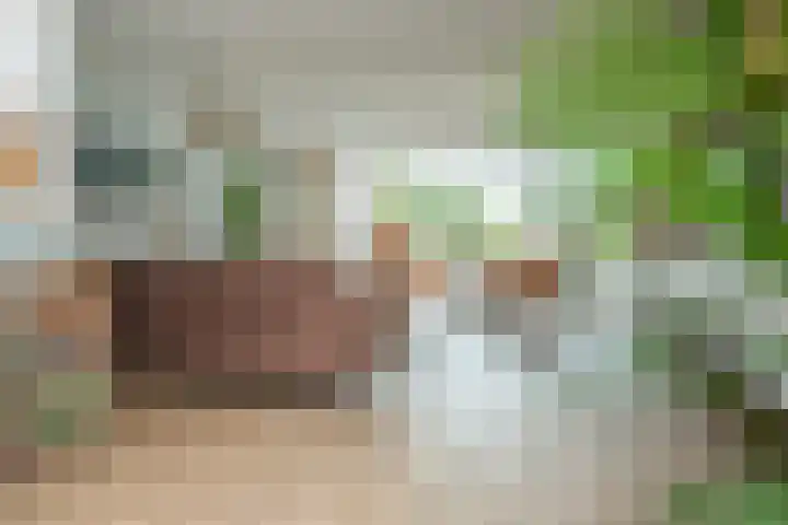 Brandaris 60 Hoofddorp thumbnail 10