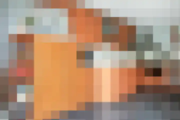 Brandaris 60 Hoofddorp thumbnail 17