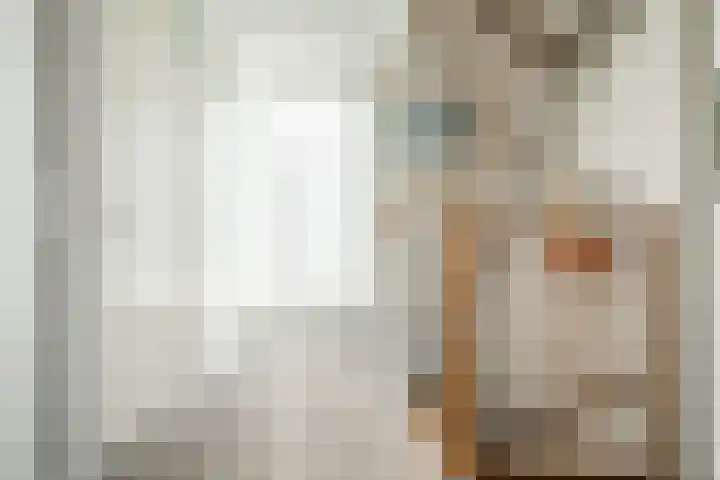 Brandaris 60 Hoofddorp thumbnail 27