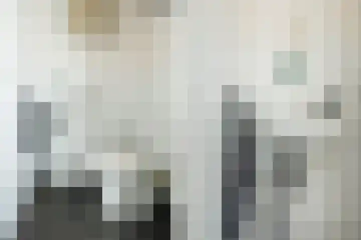 Brandaris 60 Hoofddorp thumbnail 28