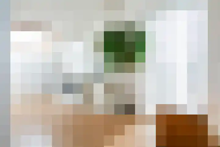 Brandaris 60 Hoofddorp thumbnail 29