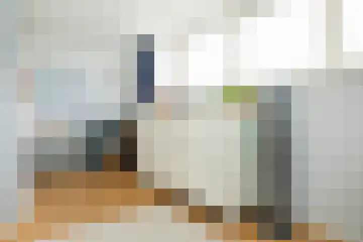 Brandaris 60 Hoofddorp thumbnail 30