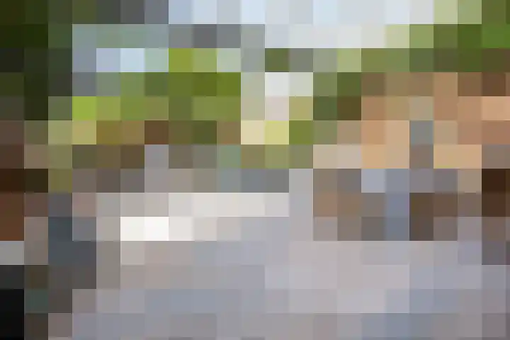 Brandaris 60 Hoofddorp thumbnail 34