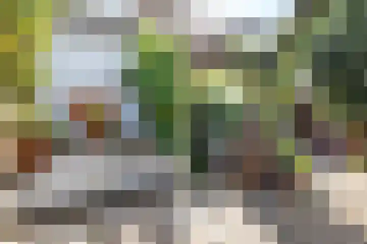 Brandaris 60 Hoofddorp thumbnail 35