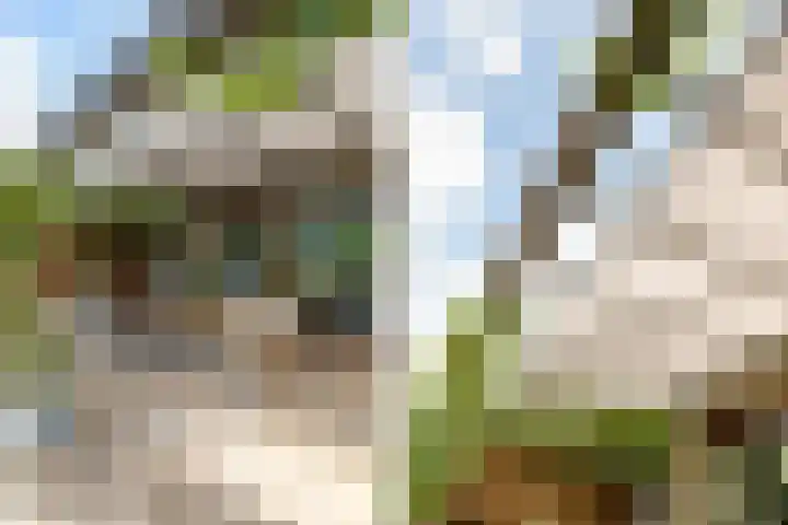 Brandaris 60 Hoofddorp thumbnail 36