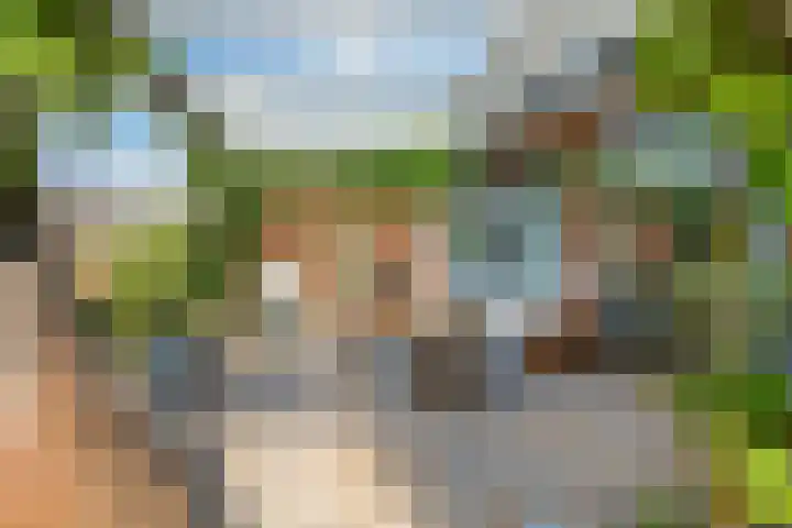 Brandaris 60 Hoofddorp thumbnail 37
