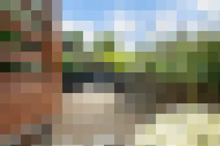 Brandaris 60 Hoofddorp thumbnail 38