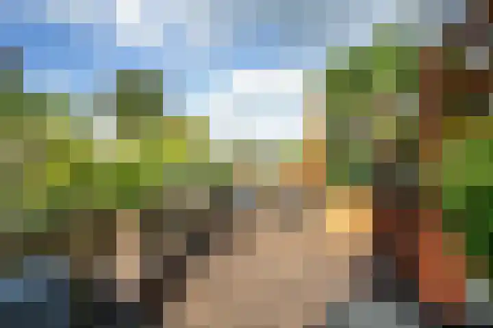 Brandaris 60 Hoofddorp thumbnail 39