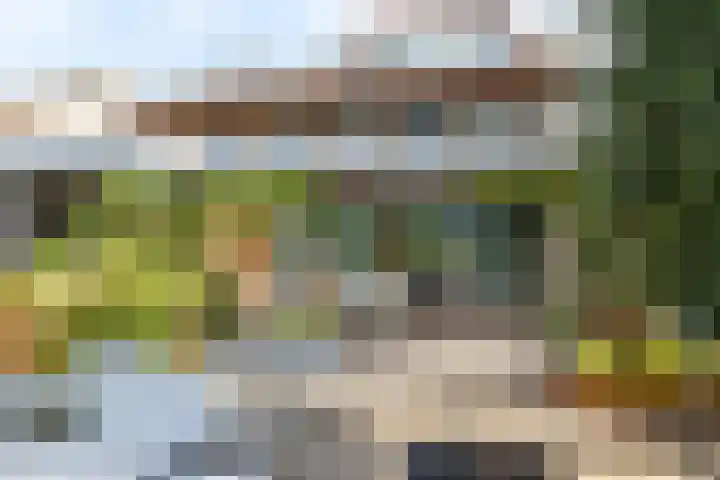 Brandaris 60 Hoofddorp thumbnail 6