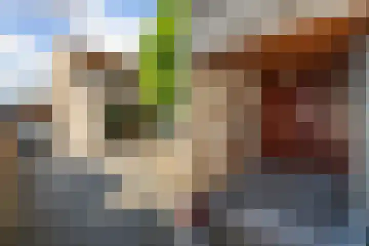Brandaris 60 Hoofddorp thumbnail 7