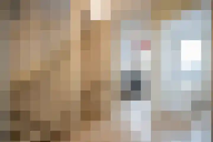 Brandaris 63 Hoofddorp thumbnail 21