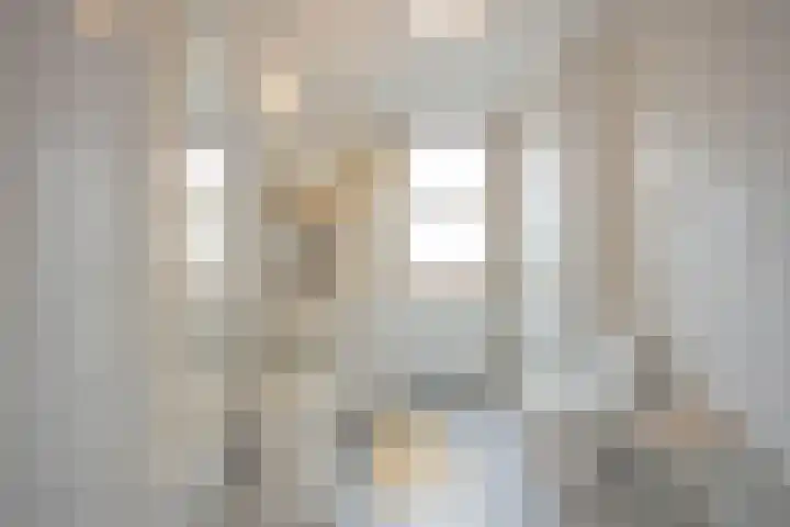 Brandaris 63 Hoofddorp thumbnail 26