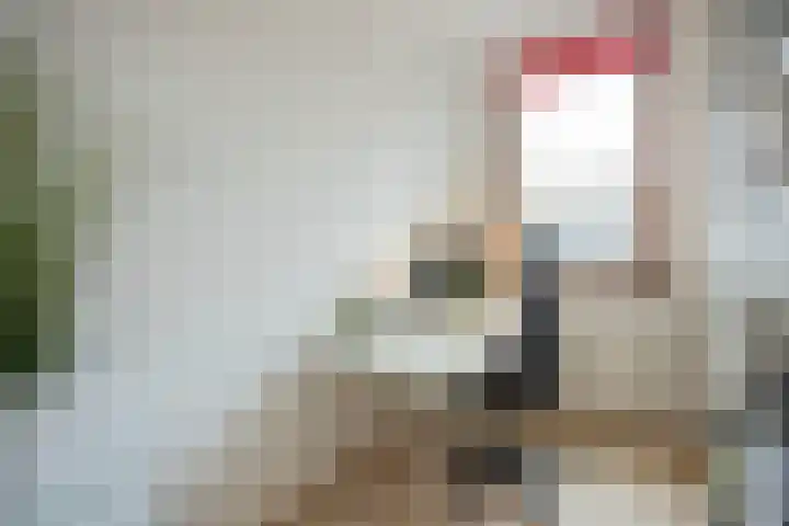 Brandaris 63 Hoofddorp thumbnail 29