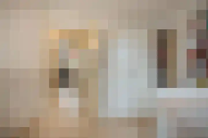 Brandaris 63 Hoofddorp thumbnail 31