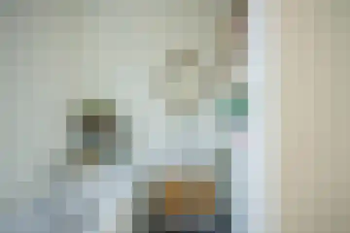 Brandaris 63 Hoofddorp thumbnail 38
