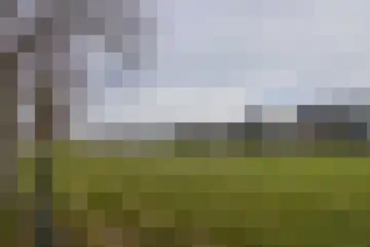 Brandaris 63 Hoofddorp thumbnail 43