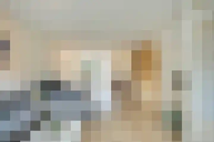Brandaris 63 Hoofddorp thumbnail 6