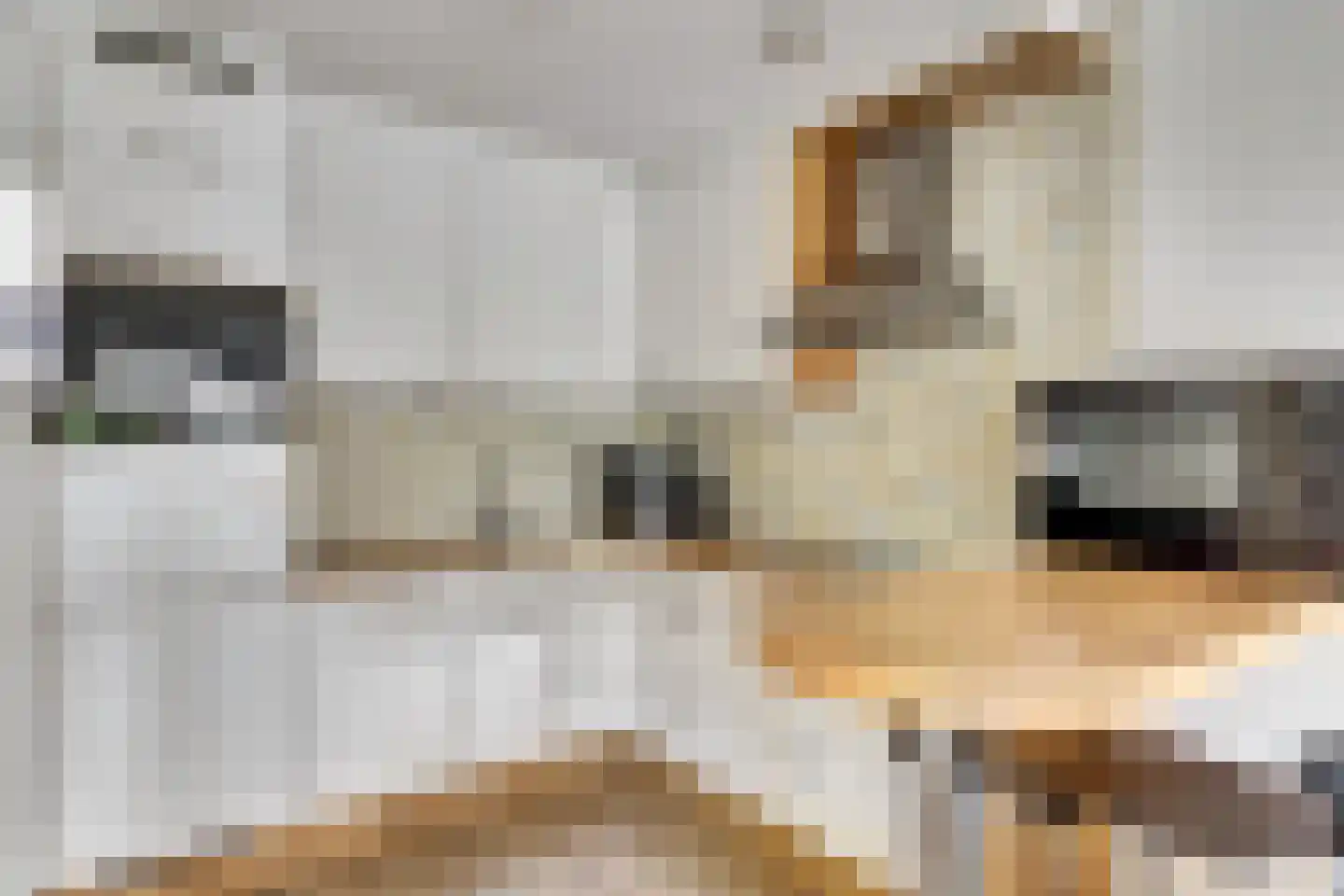 Brandaris 71 Hoofddorp thumbnail 18