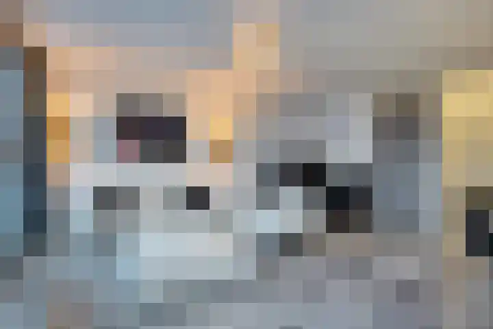 Brandaris 73 Hoofddorp thumbnail 10