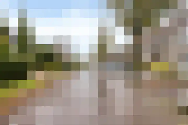 Brandaris 73 Hoofddorp thumbnail 20