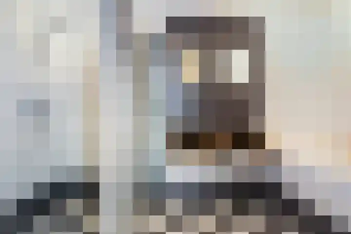 Brandaris 90 Hoofddorp thumbnail 24