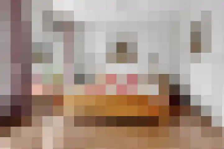 Brandaris 90 Hoofddorp thumbnail 30