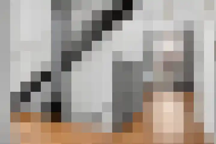 Brandaris 90 Hoofddorp thumbnail 32