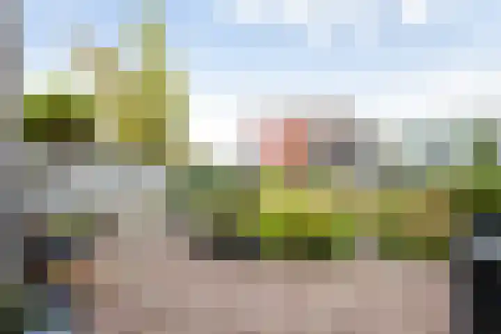 Brandaris 90 Hoofddorp thumbnail 39