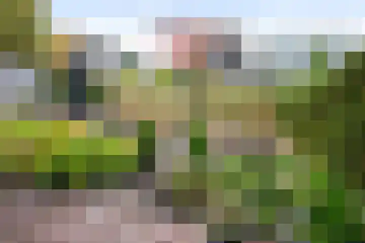 Brandaris 90 Hoofddorp thumbnail 40