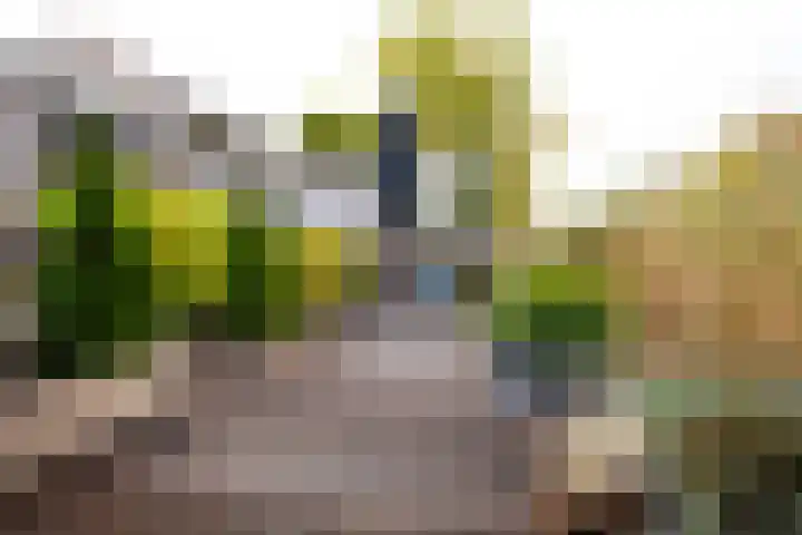 Brandaris 90 Hoofddorp thumbnail 41