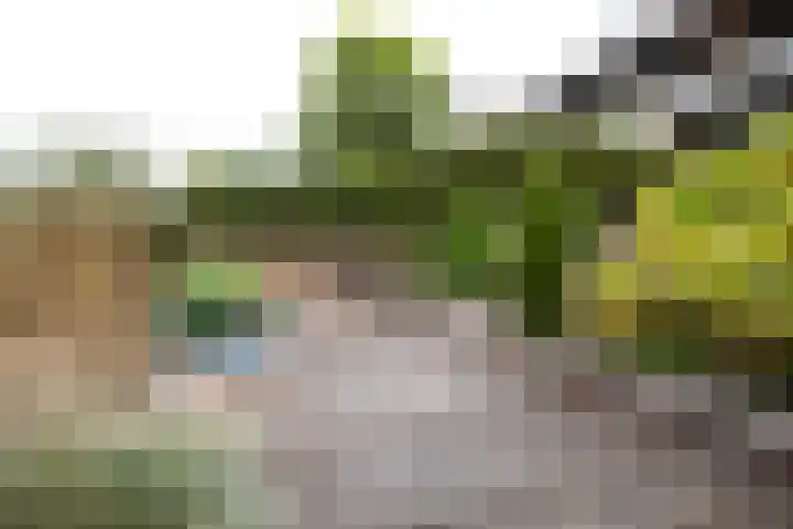Brandaris 90 Hoofddorp thumbnail 42