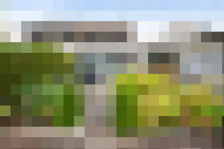 Brandaris 90 Hoofddorp thumbnail 6