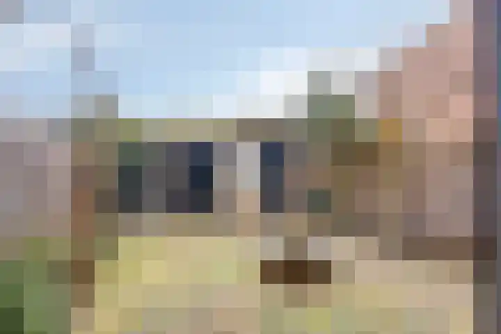 Brandebeemd 106 Breda thumbnail 30