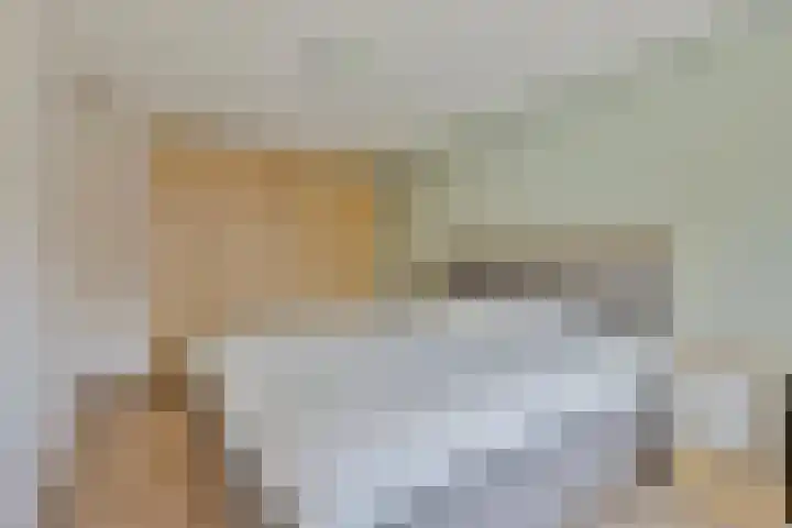 Brandebeemd 16 Breda thumbnail 11