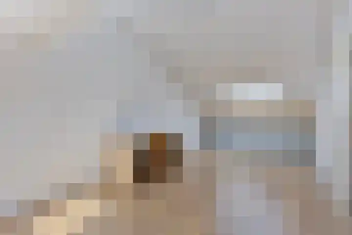 Brandebeemd 16 Breda thumbnail 17