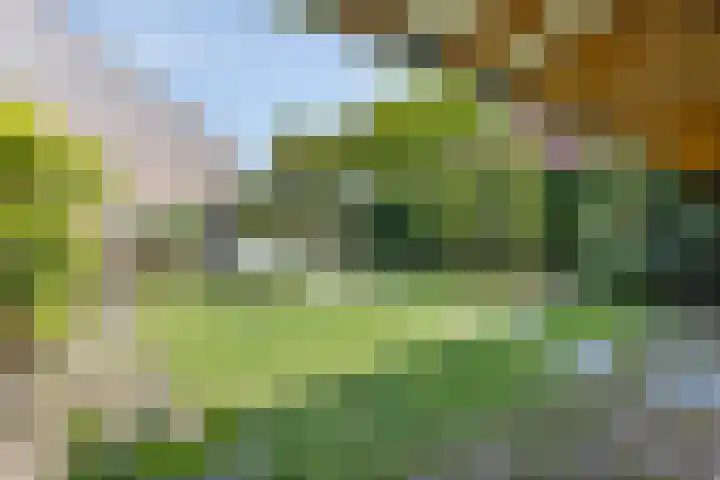 Brandebeemd 16 Breda thumbnail 22