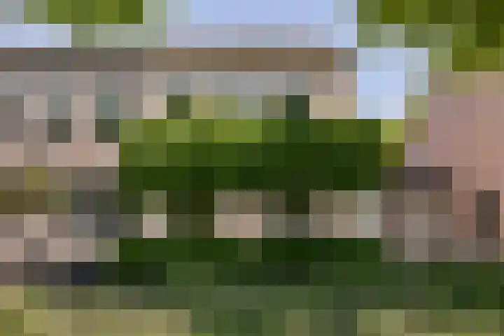 Brandebeemd 16 Breda thumbnail 25