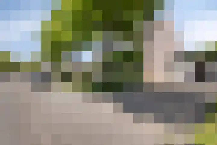 Brandebeemd 16 Breda thumbnail 26