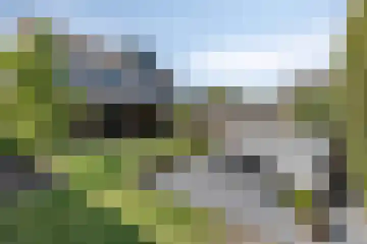 Brandebeemd 16 Breda thumbnail 30