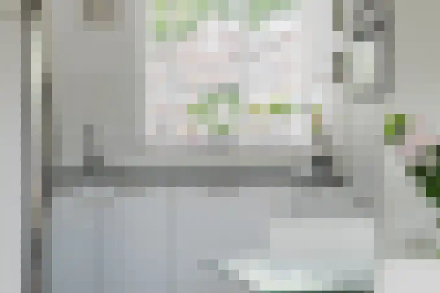 Brandebeemd 19 Breda thumbnail 13