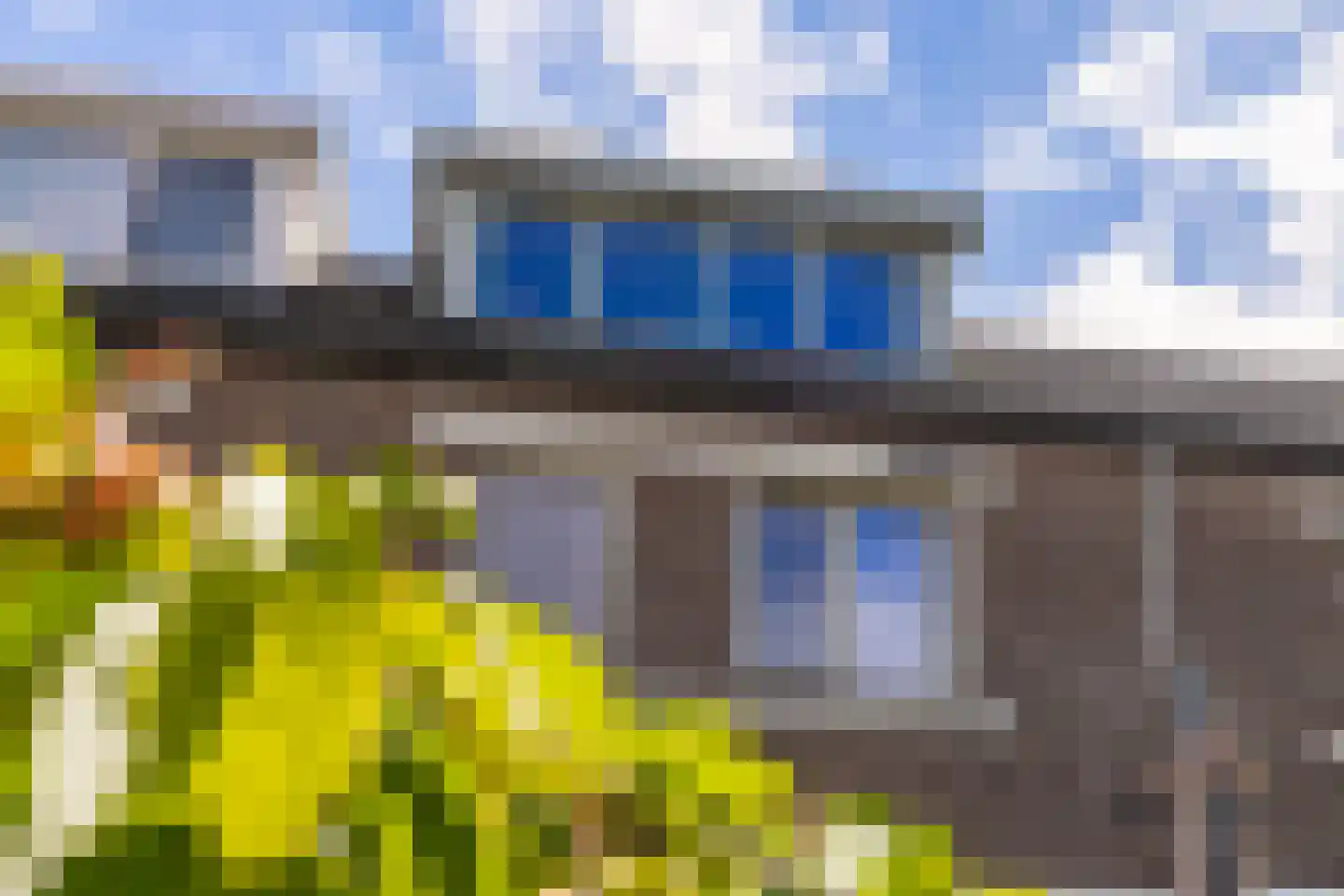 Brandebeemd 19 Breda thumbnail 30