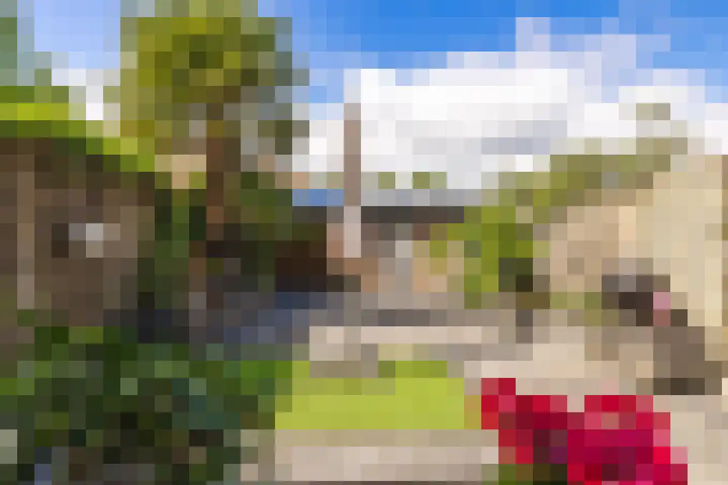 Brandebeemd 19 Breda thumbnail 31