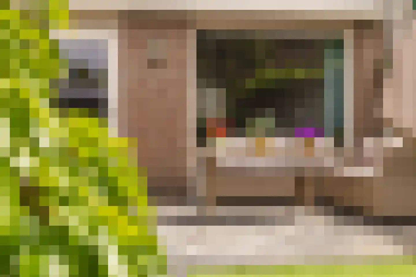 Brandebeemd 19 Breda thumbnail 32