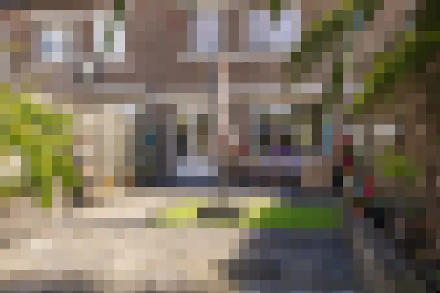 Brandebeemd 19 Breda thumbnail 34