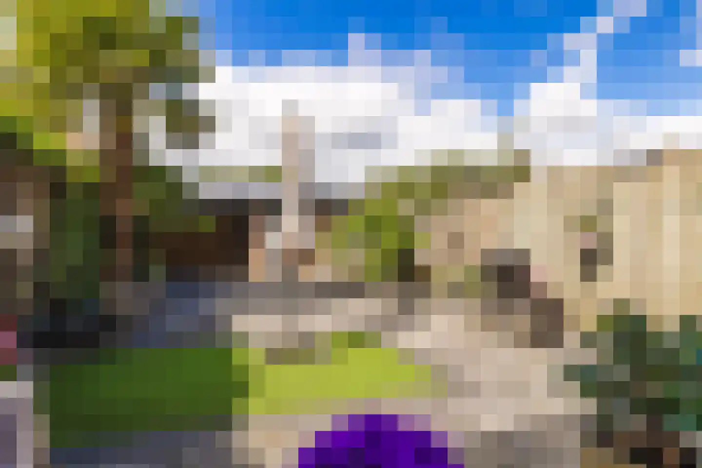 Brandebeemd 19 Breda thumbnail 36