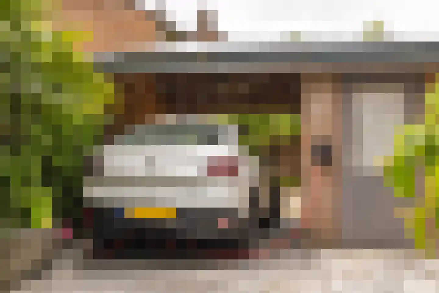 Brandebeemd 19 Breda thumbnail 38