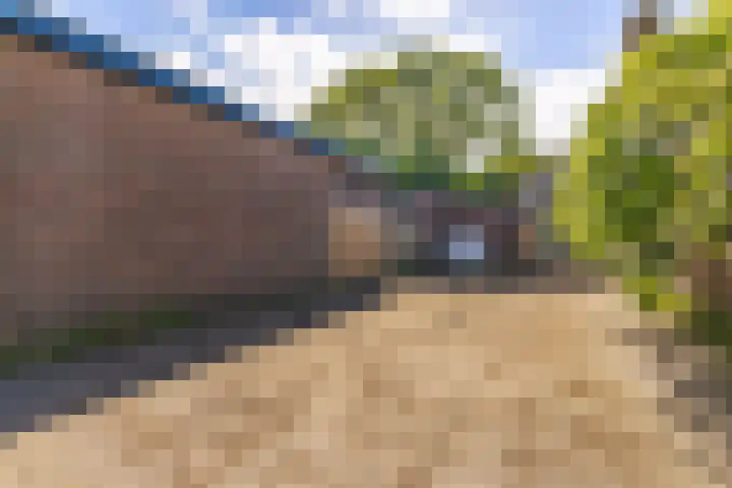 Brandebeemd 19 Breda thumbnail 39