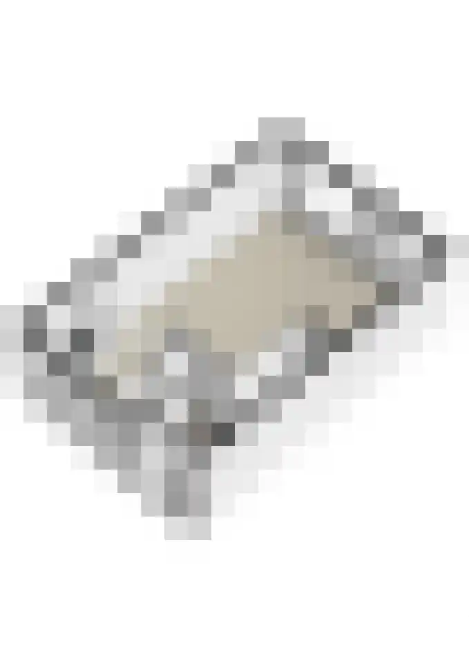 Brandebeemd 19 Breda thumbnail 46